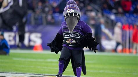 Ravens mascot's mishap takes center stage in recording session